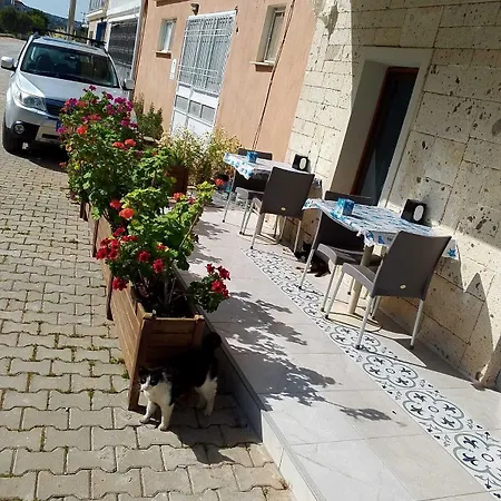 Hotel Mavi Liman
